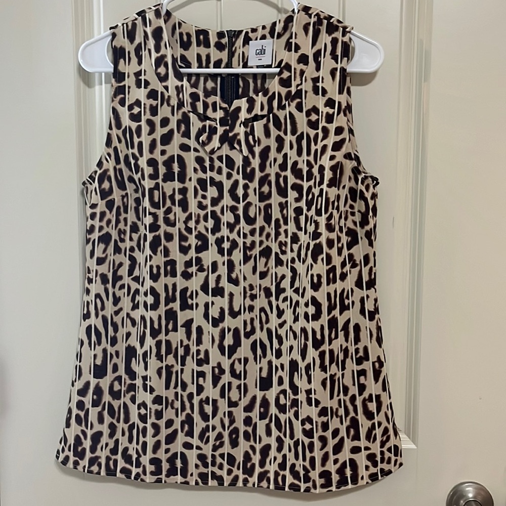 CAbi top